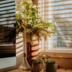 Tips for Creating a Cozy Home Workspace That Boosts Productivity