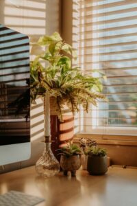 resized_127867